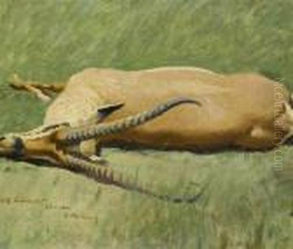 Grant's Gazelle Outstretched. Oil Painting by Wilhelm Kuhnert