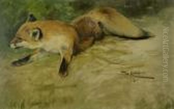 Liegender Fuchs Oil Painting by Wilhelm Kuhnert