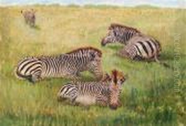 Ruhende Zebras Oil Painting by Wilhelm Kuhnert