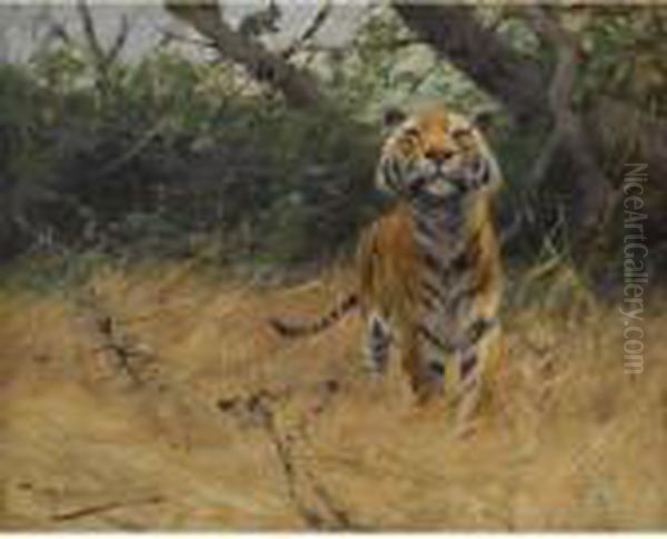 Sichernder Tiger (tiger On The Watch) Oil Painting by Wilhelm Kuhnert