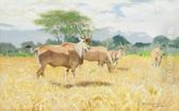 Antilopen Oil Painting by Wilhelm Kuhnert