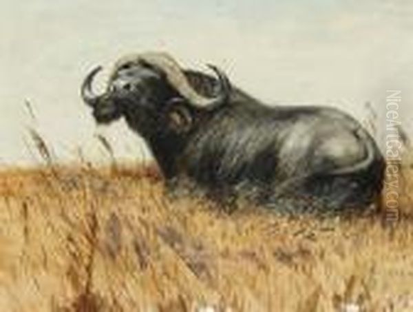 Kaffernbuffel Oil Painting by Wilhelm Kuhnert