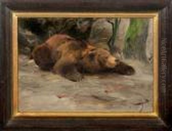 Liegender Grizzlybar Oil Painting by Wilhelm Kuhnert