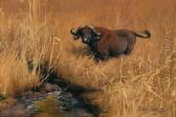 Bufalo Indiano Presso Un Abbeveratoio Nella Savana Oil Painting by Wilhelm Kuhnert