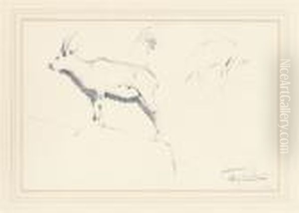 Studies Of Mountain Goats; And Further Studies Of Goats By The Samehand Oil Painting by Wilhelm Kuhnert