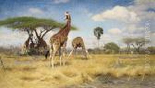 Giraffes Oil Painting by Wilhelm Kuhnert