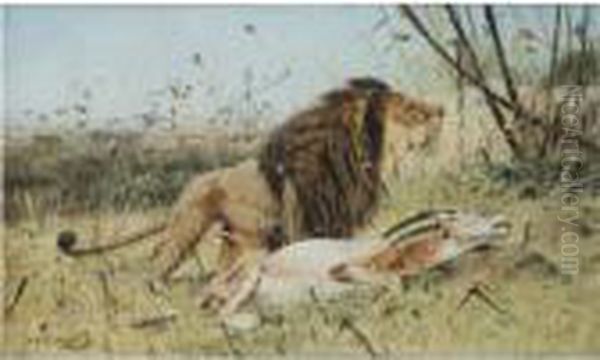 Lion And His Prey Oil Painting by Wilhelm Kuhnert