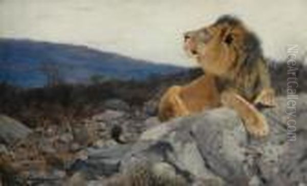 A Lion On The Rocks Oil Painting by Wilhelm Kuhnert