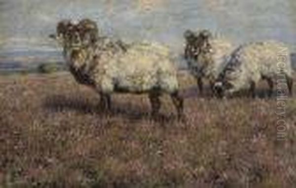 Sheep In Pasture Oil Painting by Wilhelm Kuhnert