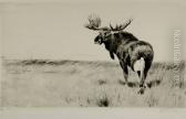 Moose Oil Painting by Wilhelm Kuhnert