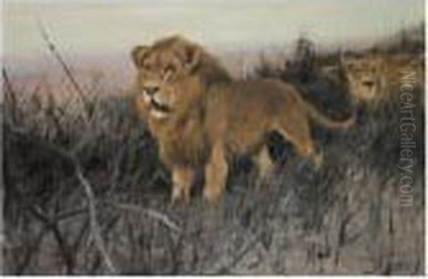 Lowen In Verbrannter Steppe (lions In A Burnt Steppe) Oil Painting by Wilhelm Kuhnert