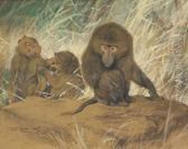 Three Baboons Seated On A Rock Oil Painting by Wilhelm Kuhnert