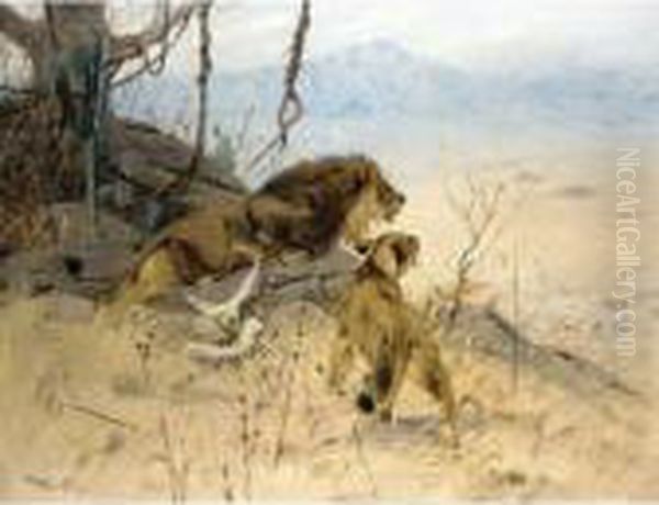 Lowe Und Lowin Erspahen Eine Zebraherde (lion And Lioness Stalking A Zebra Herd) Oil Painting by Wilhelm Kuhnert