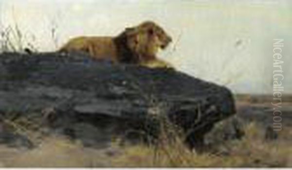 Lowe Auf Felsen (lion On A Rock) Oil Painting by Wilhelm Kuhnert