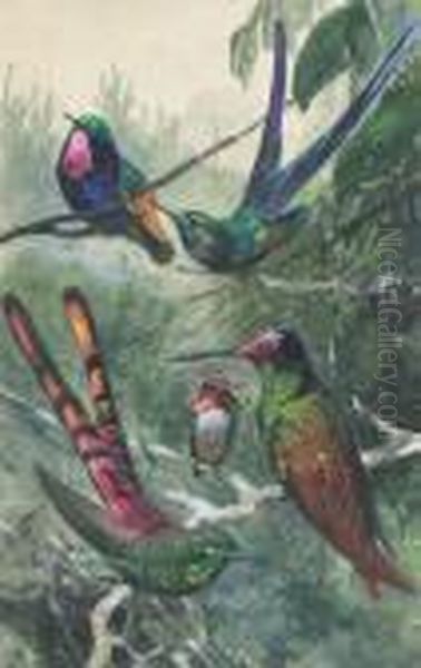 Wildlife And Ornithological Studies (one Illustrated) Oil Painting by Wilhelm Kuhnert