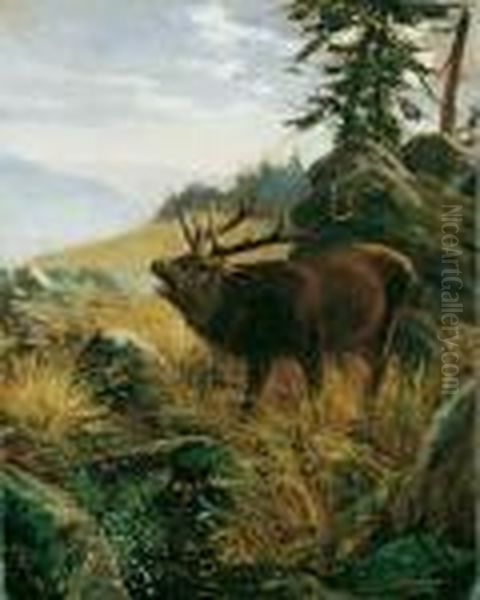 Mittelgebirgslandschaft Mit 
Rohrendem Hirsch. Signiert Unten Rechts: W. Kuhnert. Ol Auf Leinwand 
(doubliert). H 50; B 40 Cm. Oil Painting by Wilhelm Kuhnert