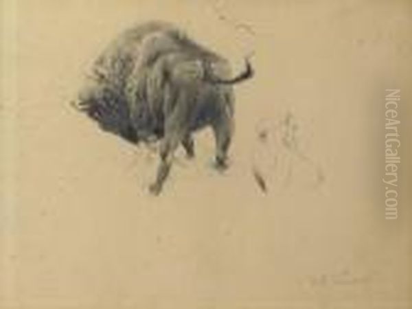 A Wisent - A Study Oil Painting by Wilhelm Kuhnert