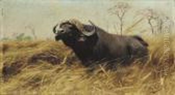 An African Buffalo Oil Painting by Wilhelm Kuhnert