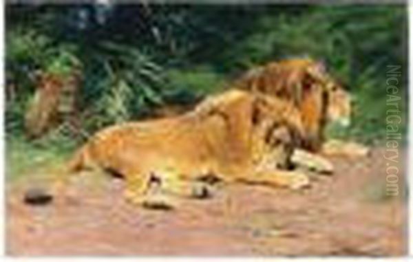 Ruhende Lowen (lions At Rest) Oil Painting by Wilhelm Kuhnert