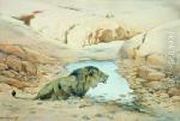 Lion At Waterhole Oil Painting by Wilhelm Kuhnert