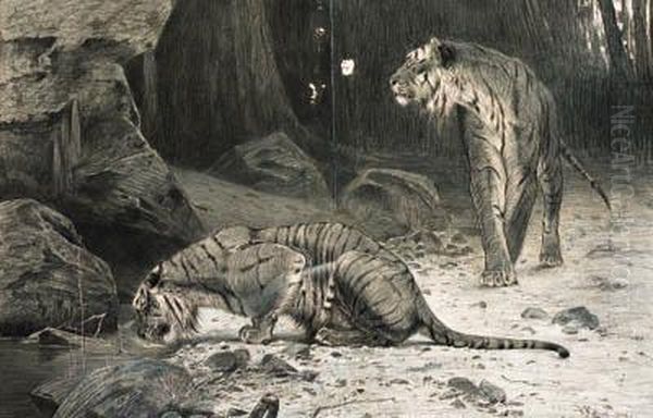 Two Tigers Oil Painting by Wilhelm Kuhnert