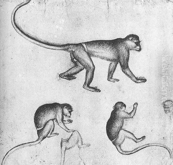 Apes (from the artist's sketchbook) c. 1430 Oil Painting by Antonio Pisano (Pisanello)