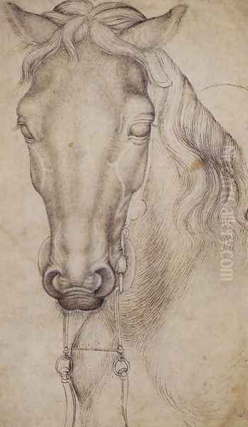 Study of the Head of a Horse 1437-38 Oil Painting by Antonio Pisano (Pisanello)