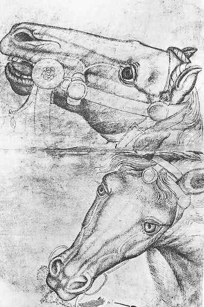 Study of Horse Heads 1433-38 Oil Painting by Antonio Pisano (Pisanello)