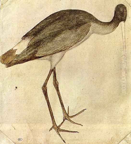 Stork 1430s Oil Painting by Antonio Pisano (Pisanello)