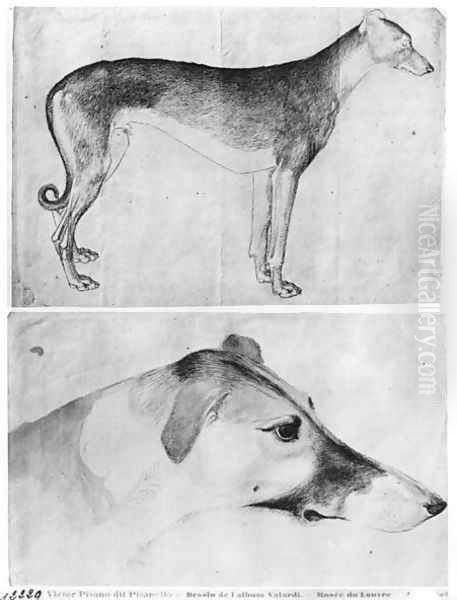 Greyhound and head of a greyhound, from the The Vallardi Album Oil Painting by Antonio Pisano (Pisanello)