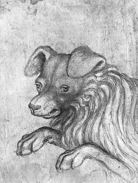 Head of a dog, from the The Vallardi Album Oil Painting by Antonio Pisano (Pisanello)