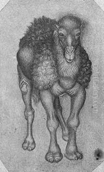 Dromedary, from the The Vallardi Album Oil Painting by Antonio Pisano (Pisanello)