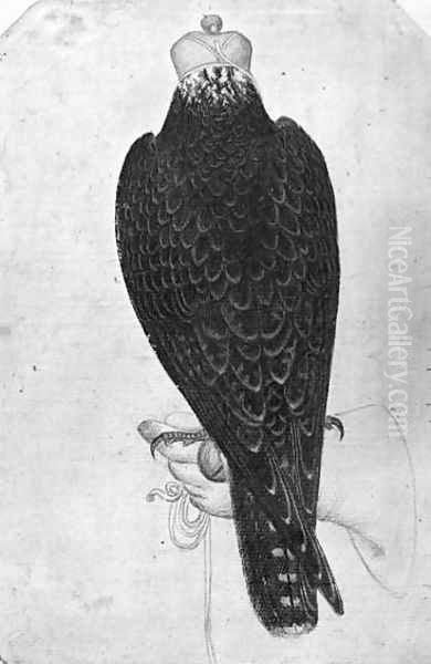 Hawk on hand, seen from behind, from the The Vallardi Album Oil Painting by Antonio Pisano (Pisanello)