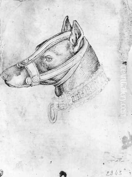 Head of a muzzled dog, from the The Vallardi Album Oil Painting by Antonio Pisano (Pisanello)