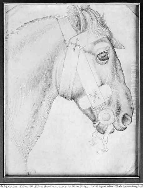 Head of a horse, from the The Vallardi Album 3 Oil Painting by Antonio Pisano (Pisanello)