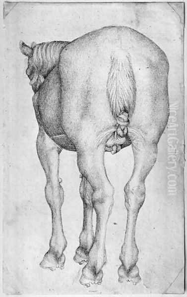 Horse, from the The Vallardi Album Oil Painting by Antonio Pisano (Pisanello)