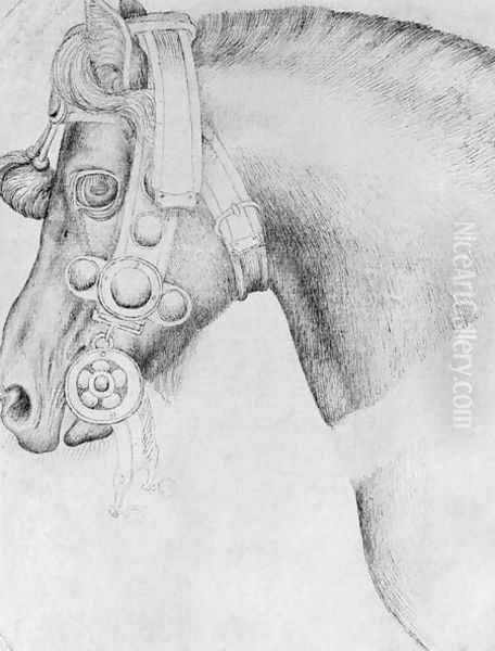 Head of a horse, from the The Vallardi Album 2 Oil Painting by Antonio Pisano (Pisanello)