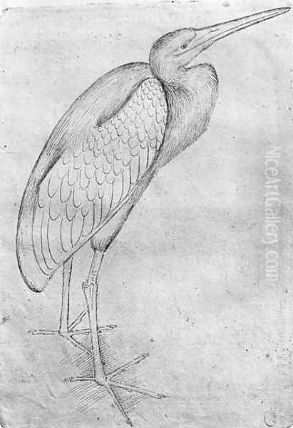 Pelican, from the The Vallardi Album Oil Painting by Antonio Pisano (Pisanello)