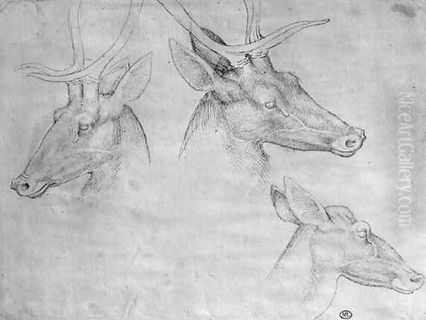 Two heads of stags, one head of a doe, from the The Vallardi Album Oil Painting by Antonio Pisano (Pisanello)