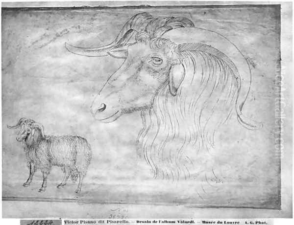 Ram and head of a ram, from the The Vallardi Album Oil Painting by Antonio Pisano (Pisanello)