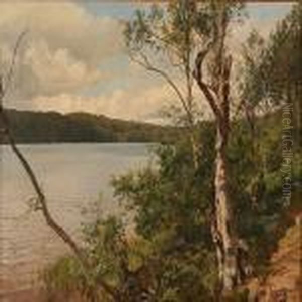 Summer Day At A Danish Lake Oil Painting by Janus Andreas La Cour