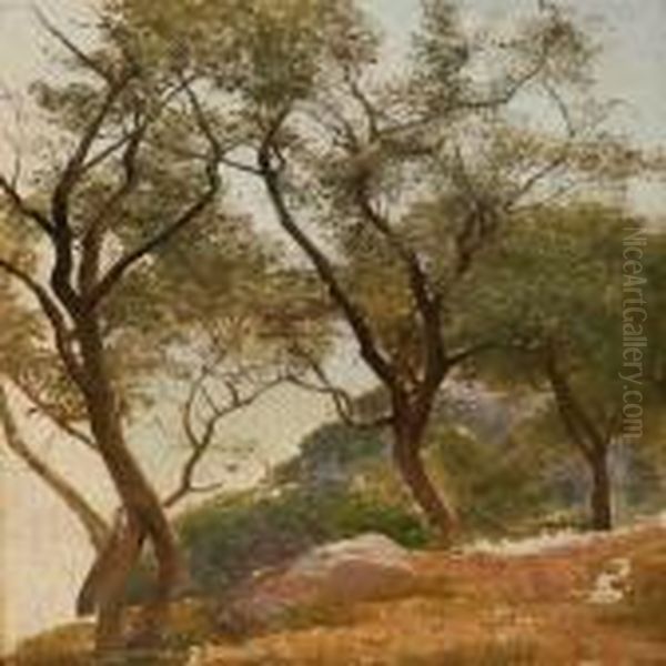 Olive Trees On A Hillside Oil Painting by Janus Andreas La Cour