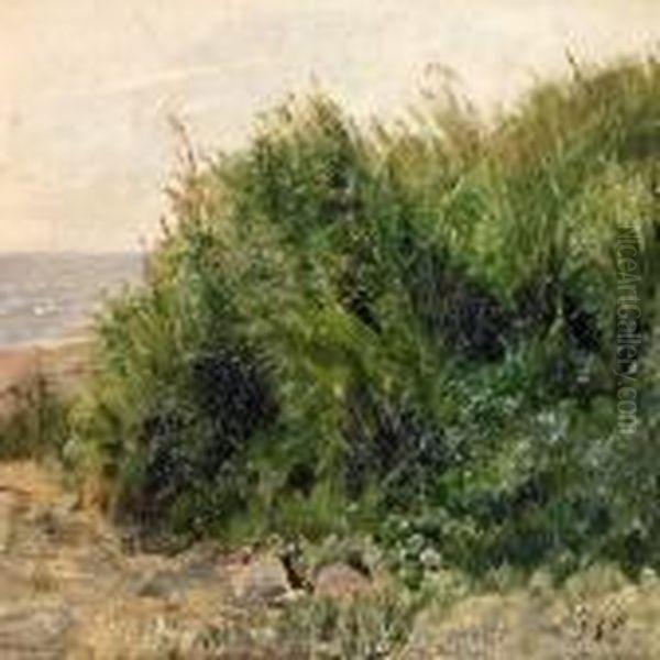 Scenery From The Beach, In The Foreground Stones And Rush Oil Painting by Janus Andreas La Cour