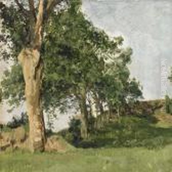 Trees In A Clearing Oil Painting by Janus Andreas La Cour