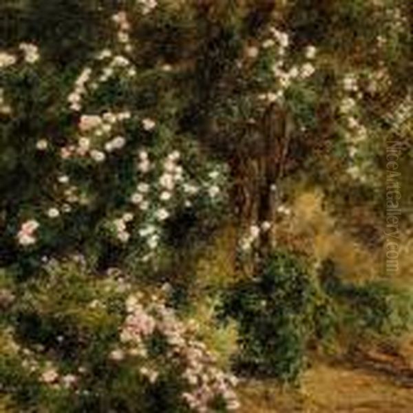 Roses In Bloom In The Garden Of Villa D'este Oil Painting by Janus Andreas La Cour