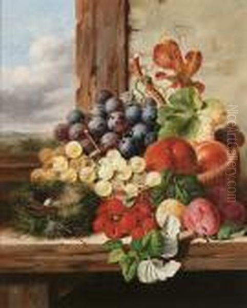 A Still Life Of Fruit In A Basket Beside A Robin's Nest On A Window Sill Oil Painting by Edward Ladell