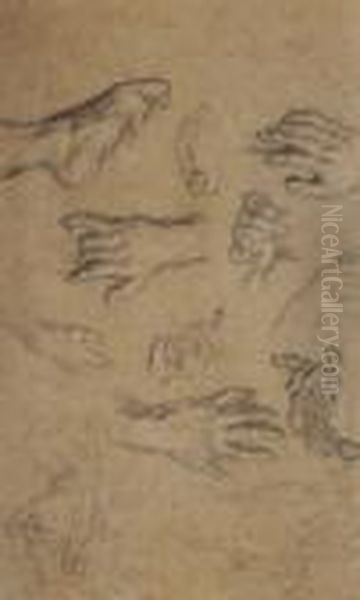 Sheet Of Studies Of Hands And A Foot Oil Painting by Nicolas Lancret