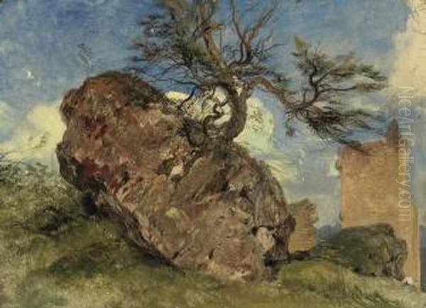 Study Of Rock And Tree Oil Painting by Landseer, Sir Edwin