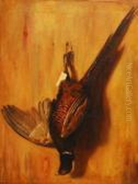 Still Life Dead Cock Pheasant Pinned To A Wall Oil Painting by Landseer, Sir Edwin