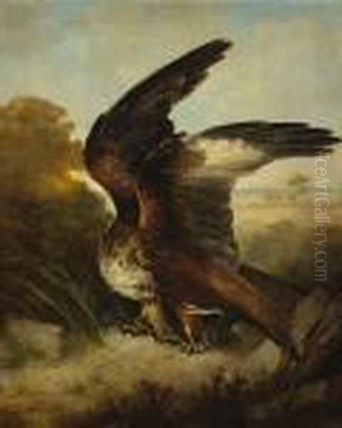 A Snake In The Talons Of An Eagle Oil Painting by Landseer, Sir Edwin